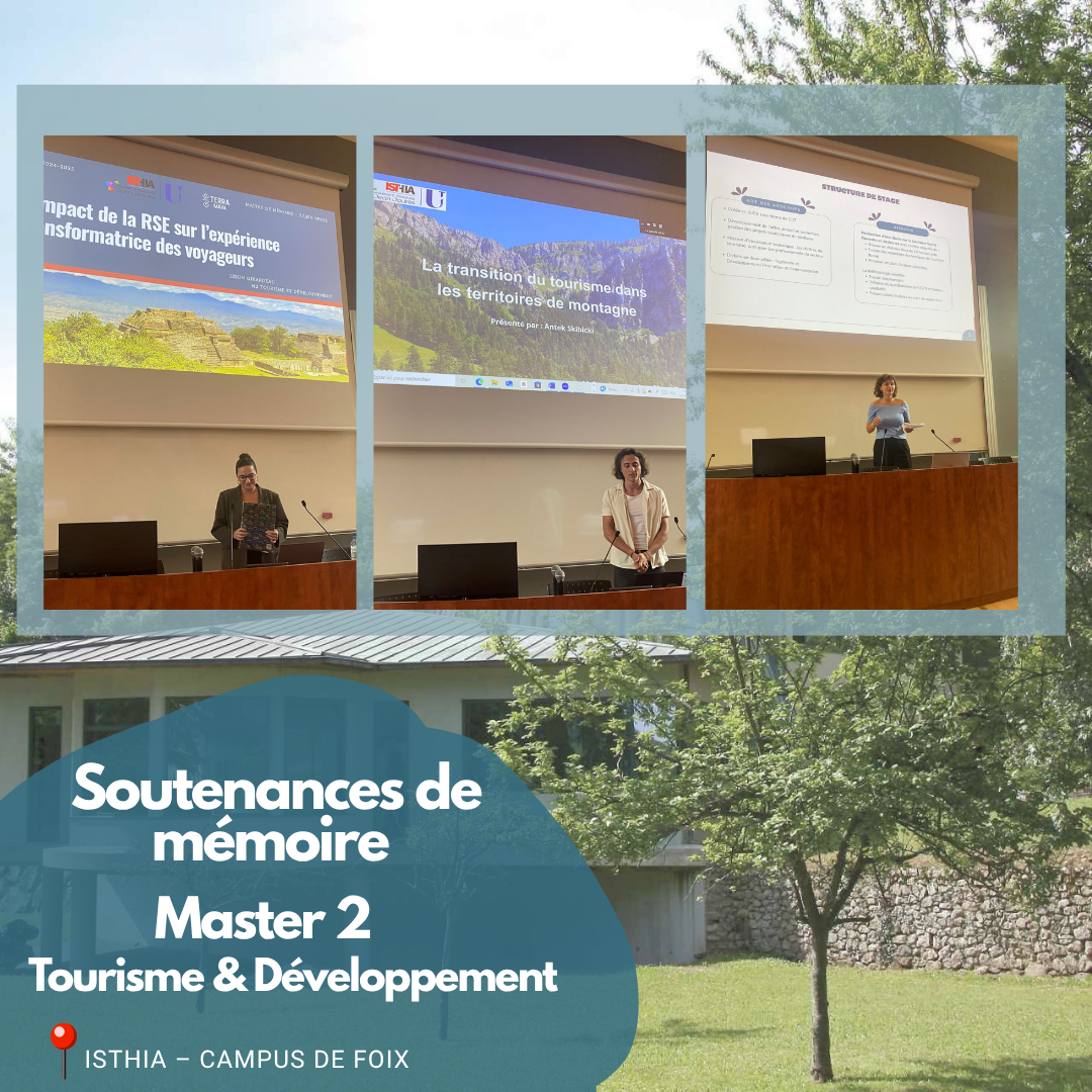 Montage photo soutenance Master 2