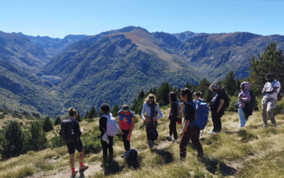 Le « challenge territorial »