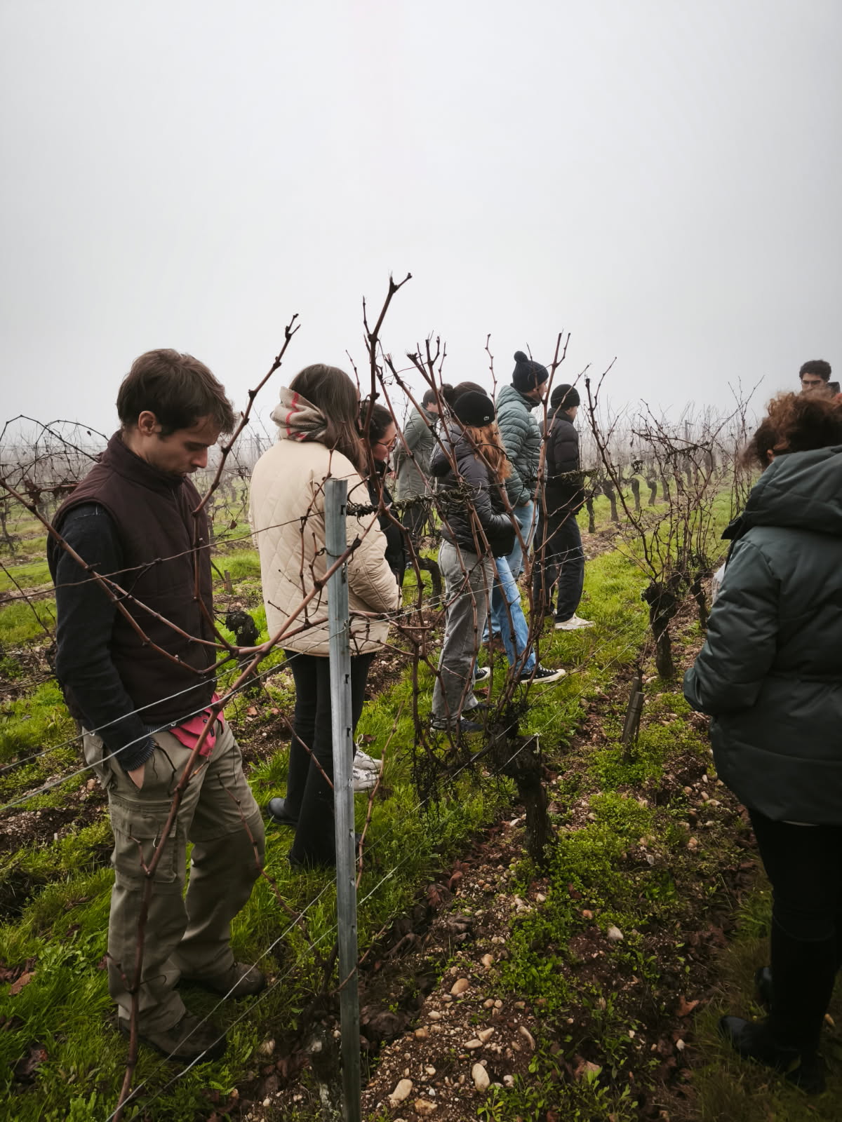 IMG_20251216_121426 (1)