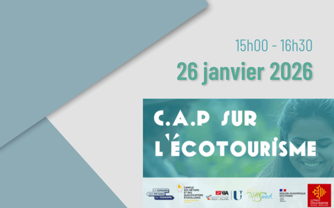 Webinaire de lancement